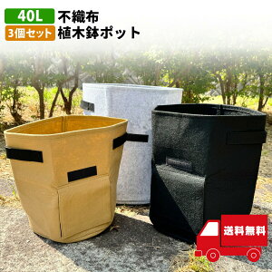 40L sDzAؔ|bg 3Zbg  ֗Ȏ ͂ώ@t Aւ 荪h~ y Ԕ ʋC  tFg