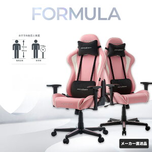 ���[�����[�N�X FORMULA DXZ �p�X�e�� �\�t�g���U�[ �Q�[�~���O �W�F�� �}�b�g �X���C�h ���b�L���O ���[�N �`�F�A�[ �֎q �C�X �׋��� 3D �A�[�����X�g �w�b�h���X�g �����o�[�T�|�[�g �ݑ� ��