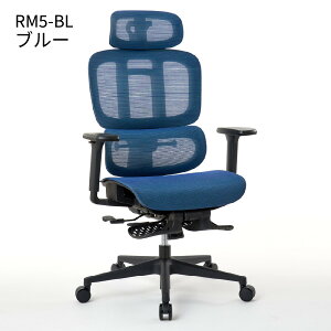ルームワークスROOM WORKS M5 オフィス 座面 スライド ロッキング ワーク チェアー 椅子 イス 勉強机 3D アームレスト ヘッドレスト ランバーサポート 在宅 勤務 腰痛 防止