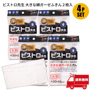 Tx rXg搶 傫ȖȃK[[ӂ 2 4܃Zbg zQ Lb`NX H@ @p @ɃPocȂ 唻