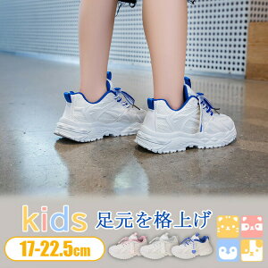 yKȗSn LbY X j[J[z17cm-22.5cm  qC Xj[J  W[X̎q j̎q ^C X|[c_炩 y ~ ANAV[Y ʉ ʊw WjA