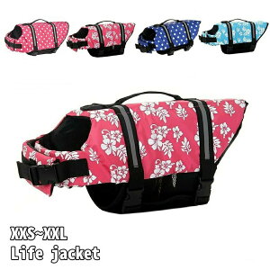 CtxX t[eBOxXg ^ p ybg  C V Z[teB S S  ^ ^ ^ CtWPbg