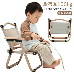 AEghA`FA ܂肽 ~j ω׏d 100kg LbY q l Lv ֎q `FA qp tH[fBO`FA LsO