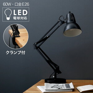 fXNCg fXNv led X^hCg Ɩ Cg Nbv Nv fXNƖ wK CeAƖ X`[  ݑ [g[N