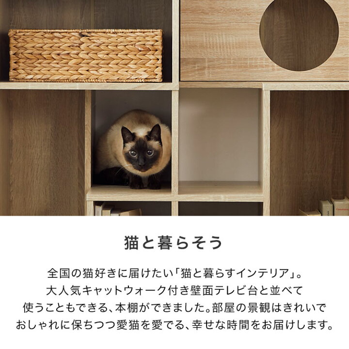 楽天市場】キャットウォーク 猫 家具 本棚 おしゃれ 収納棚 木製 幅 