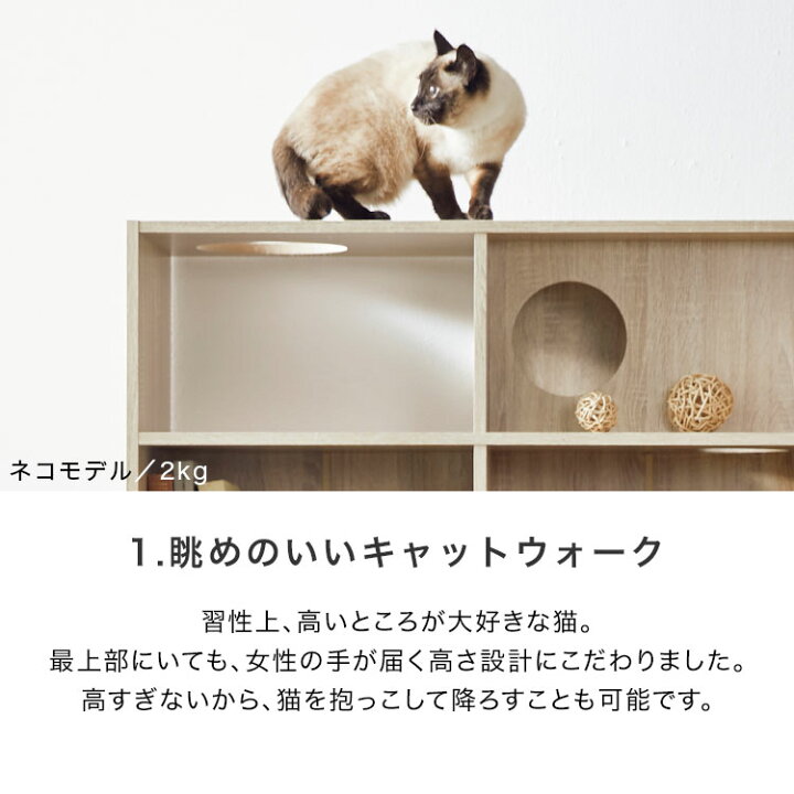 楽天市場】キャットウォーク 猫 家具 本棚 おしゃれ 収納棚 木製 幅 