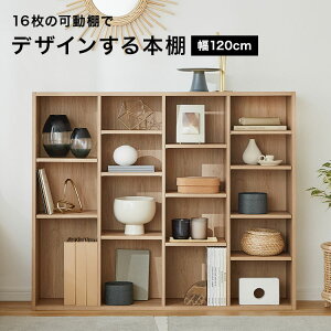 {I X ^ e ȃXy[X [ [I l炵 I[vbN  I [{bNX }K  { ɖ{ G t@C DVD 120cm I fBXvC ؖڒ