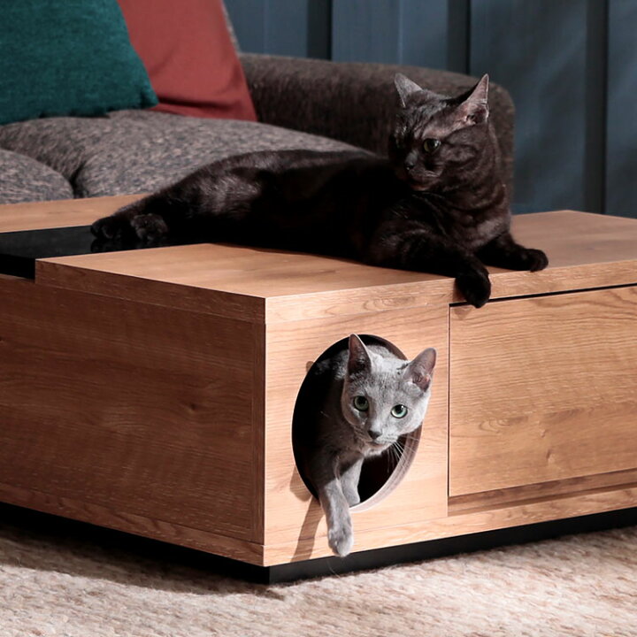 楽天市場】猫 ローテーブル テーブル ペット センターテーブル 