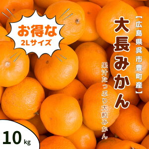 咷݂ 10kg G  2LTCY LsLY Ȃ p ƒp 嗱 Yn ݂ k t[c