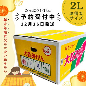 �y�\��̔� �b12��26�������z �咷�݂��� ������ 10kg �G ���� 2L�T�C�Y �L�������s�L���Y ��Ȃ� �����p ���ƒ�p �嗱 �Y�n���� �݂��� ���k �t���[�c ��