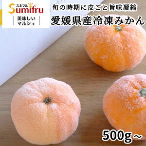 QY n Ⓚ݂ 500g Ђ XC[c ЂƂ  ݂ ~J   v[g ʕ t[c Q lC  X~t