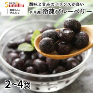 冷凍ブルーベリー 500g 2袋〜4袋 当日出荷 1kg 1.5kg 2kg 無添加 アイス 一口サイズ カット ダイス 濃厚 …