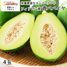 青パパイヤ パパイヤ 2玉 4玉 7玉 10玉 約1kg〜約5kg フィリピン産 パパイア スミフル トロピカルフルーツ スミフル sumifru こだわり ギフト 果物 お中元 プレゼント 贈り物 食品 1キロ クール配送