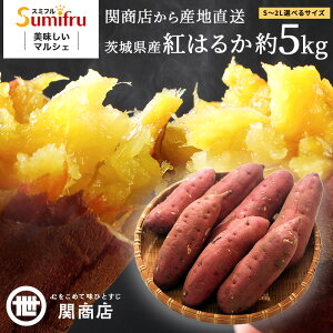 ܂ g͂邩 Gi 5kg   Ă ₫ ₫ Ƃ Y F Y Hi Ɩp ƒp XC[c 錧 錧Y ֏X X~t a v[g 