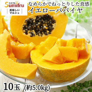 ppC 4 7 10 tBsY ppCA X~t gsJt[c sumifru  Mtg ʕ j  a v[g