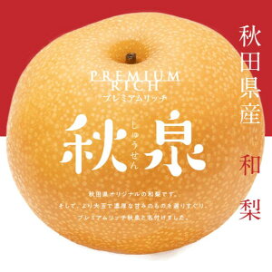 yʌz HcY a H  5kg Yn   Ȃ iV v[g ʕ t[c Hc lC 