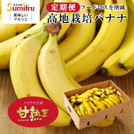 定期購入 バナナ 業務用 約85本 甘熟王 訳あり 高地栽培 大量 15kg 定期便 フィリピン産 sumifru スミフ…