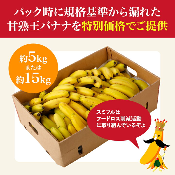 訳あり】バナナツリー4本 お買い得♪