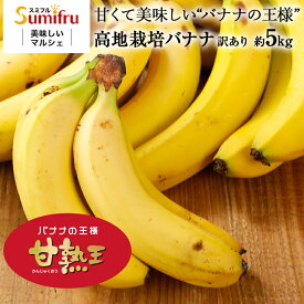 バナナ 約5kg または 約15kg 甘熟王 業務用 訳あり 高地栽培 大量 (約30本) (約85本) フィリピン産 sumifru スミフル 学園祭 スポーツ 送料無料 ばなな わけあり バナナジュース 【フードロス削減応援バナナ スマイル甘熟王】