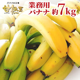 楽天市場 バナナの通販