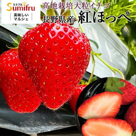 長野県産 いちご 紅ほっぺ 2パック 4パック 280g×4袋 送料無料 家庭用 果物 フルーツ 長野県 人気 売れ筋 【1月中旬より順次発送】