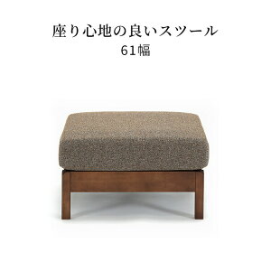 \t@ Ibg} 60 cm  rt Xc[ RpNg ru  k z Jo[O |PbgRC ψU  _炩  ɂ Vv _ _CjO`FA