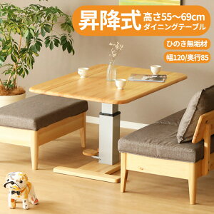 ~ _CjOe[u 120 k  ~e[u pی` e[u ؐ RpNg ꂢ rO C iK KX qmL Ђ̂ C O E^h ICh 