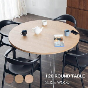 _CjOe[u ۃe[u _CjOe[u r XeX  ~` 120 ؐ VR 120cm 4l| 2l 3l RpNg  Pi _CjO I[N e[u 120 XeX 