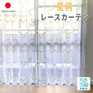 [XJ[e  i { 1cmP I[_[ J[e zCg CG[ ubN uE ꂢ   X^[ q j̎q ̎q EIbVu 􂦂 􉽊w [X 