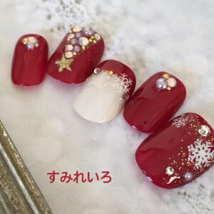 クリスマス ネイル デザインの人気商品 通販 価格比較 価格 Com