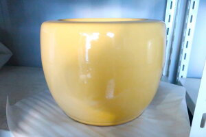 Myā@Δ@10@CG[iIWi֖j