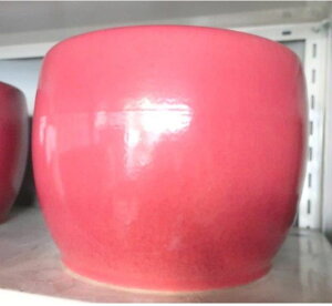 Myā@Δ 10 @sNiIWi֖j