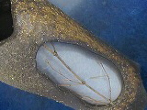 MyĂǂ@̓肽@timj|Y5t