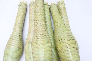 y6{ZbgzȂǂ | 40cm p