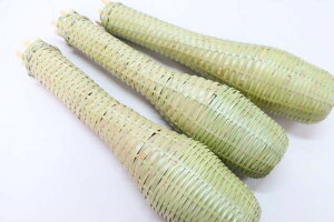 y3{ZbgzȂǂ | 40cm p