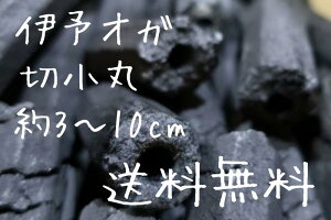 �ɗ\ �؏��� �I�K�Y 10kg 2�� 20kg ���Y �������� �J�b�g �����Y�d�� ���Η� �����ԔR�� �ē� �Ē� �F�[�� �ċ� �V �o�[�x�L���[ BBQ �L�����v �Ԍ� �o�X �R���� �͘F�� �Δ� ���� �������[�X�^�[ 