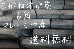 ������ �I�K�Y 10kg 2�� 20kg �Z�p �������� �����Y�d�グ ���Η� �����ԔR�� �ē� �Ă��� �F�[�Ă� ������ �ċ� �o�[�x�L���[ BBQ �L�����v ���Ԍ� �o�X �R���� �͘F�� �Δ� ���� �������[�X�^�[ 