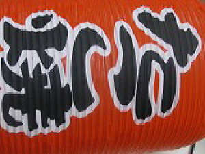 ĐԂ傤@9~^@a24×60cm