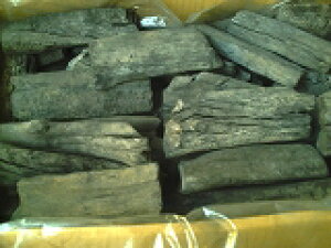 Y@؊AMTCYA11~17cmA4`6cm