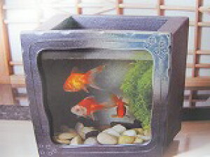 Myċ@piցjW210×D140×H220@򐅒|Y5t