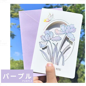 bZ[WJ[h t MtgJ[h a j oYj  ӏ v|[Y LO O[eBOJ[h 킢  jJ[h j v[g 莆  fU