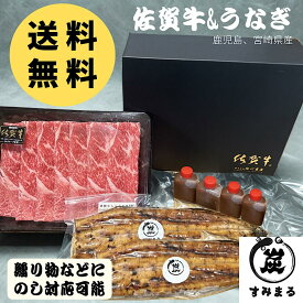 特大うなぎ蒲焼2尾と佐賀牛320g　うなぎ蒲焼　無頭　佐賀牛　本格炭火焼　炭火焼　国産うなぎ　プレゼント　贈り物　送料無料　お父さん　おじいちゃん　誕生日　お中元　お歳暮　ギフトセット　ウナギ　食材セット　高級　高級贈り物