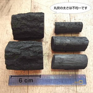 大きさ比較