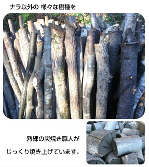様々な樹種で焼き上げました
