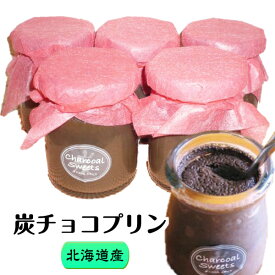 炭チョコプリン（6個入り）[大西林業] 北海道の厳選素材からうまれた 新しい健康スイーツ 北海道産 炭入り 黒スイーツ 洋菓子 / クール便（冷凍）発送