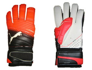 X|bg@v[}@PUMA-041262-20@GHp[ 1.3 Obv@GK@L[p[@O[u