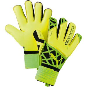 v[}@2017SS puma-041278-05@evoSPEED@1D5@GEJH@Xs[h 1.5 GK@L[p[@O[u@