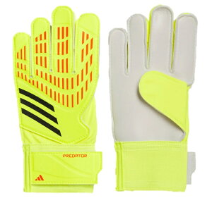 AfB_X@2024FW@KMR43@IQ4028@vf^[TRN@GK@L[p[@O[u@܁@WjA@LbY