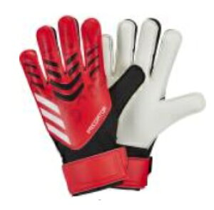 AfB_X@2025SS@KWA49@JH3811@vf^[@g[jO@GK@L[p[@O[u@܁@WjA@LbY