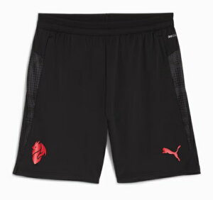 v[}@2025-26@puma-782370-04@AC@~@g[jO@|Pbgt@vNeBX@pc